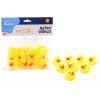 Canards de bain en caoutchouc - lot de 8