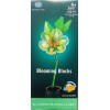 Blooming Bloks Michelia Figo 105 pièces - Whitehouse Leisure