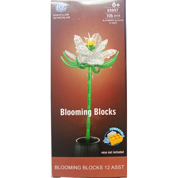 Blooming Reine de la Nuit 105 pièces