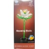 Blooming Reine de la Nuit 105 pièces
