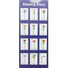 Blooming Bloks 105 pièces - Whitehouse Leisure