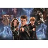 Puzzle TREFL Harry Potter Super Shape XL 160 Pièces