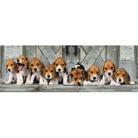 Clementoni - Panorama 1000 pièces - Chiens Beagles