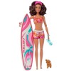 Poupée Barbie Coffret Surf avec Chiot et Accessoires