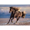 Puzzle 1000 pièces Cheval Clementoni 98325