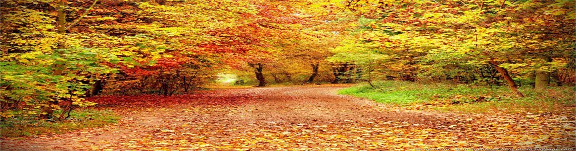 En Avant l' Automne !